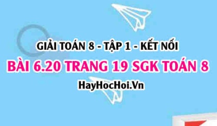 Bài 6.20 trang 19 Toán 8 Tập 2 Kết nối tri thức